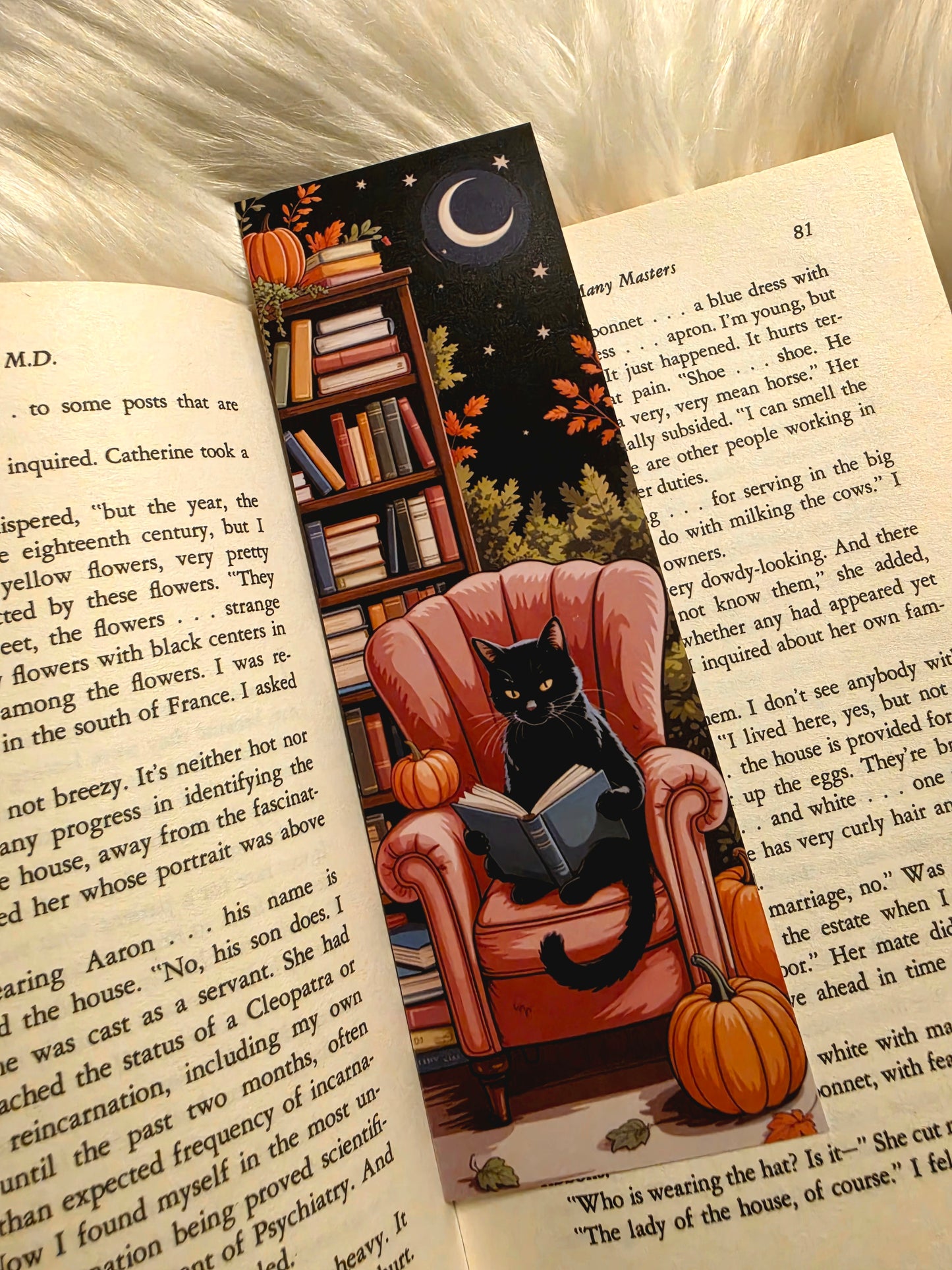 Moonlit Autumn Reader