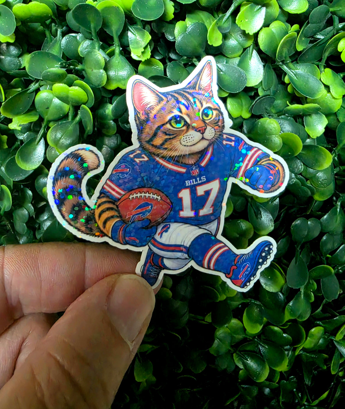 Bills Mafia Cats