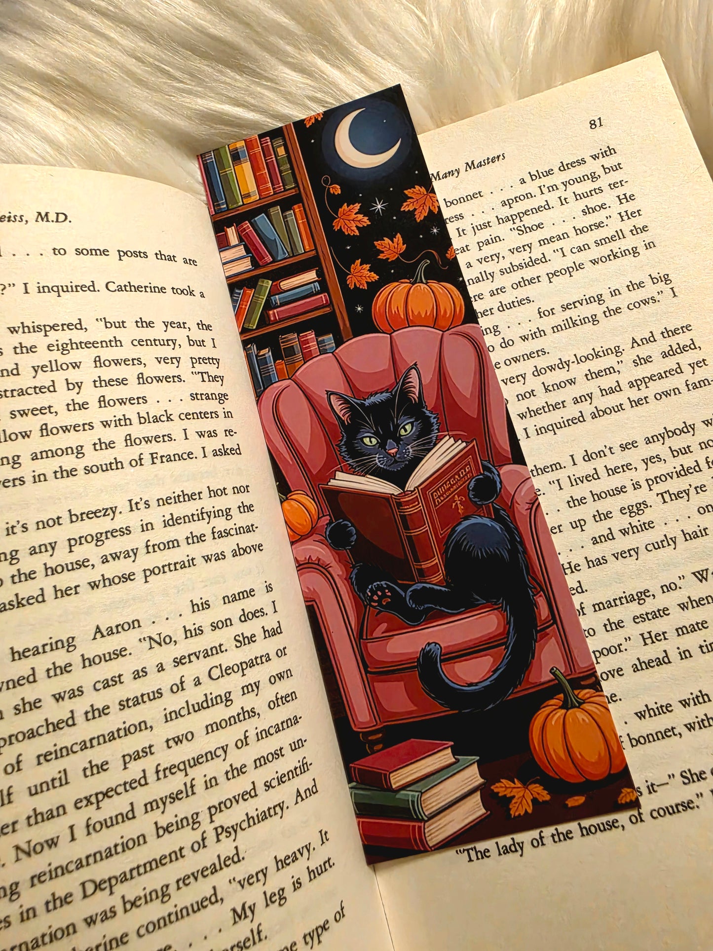 Cozy Autumn Reader
