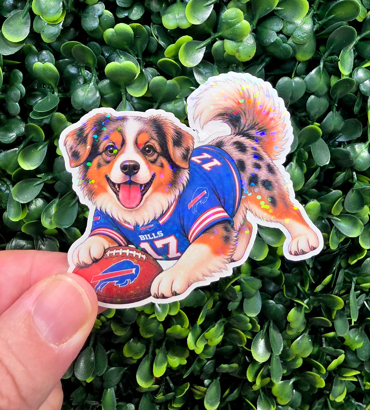 Bills Mafia Pups