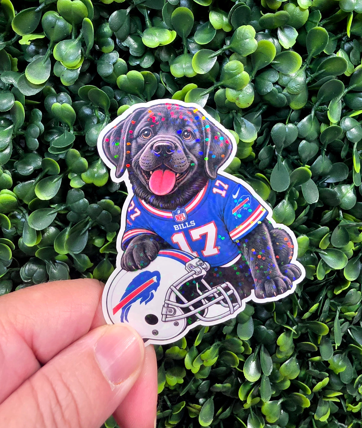 Bills Mafia Pups