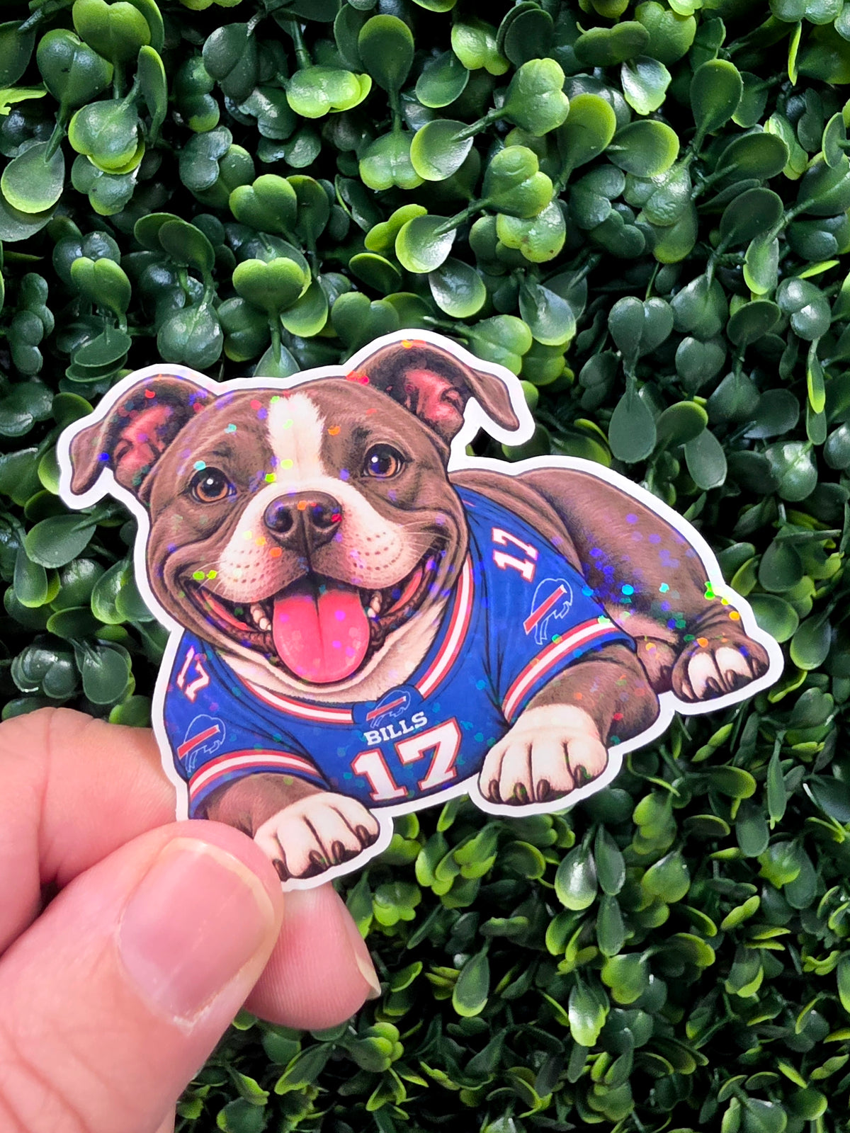 Bills Mafia Pups