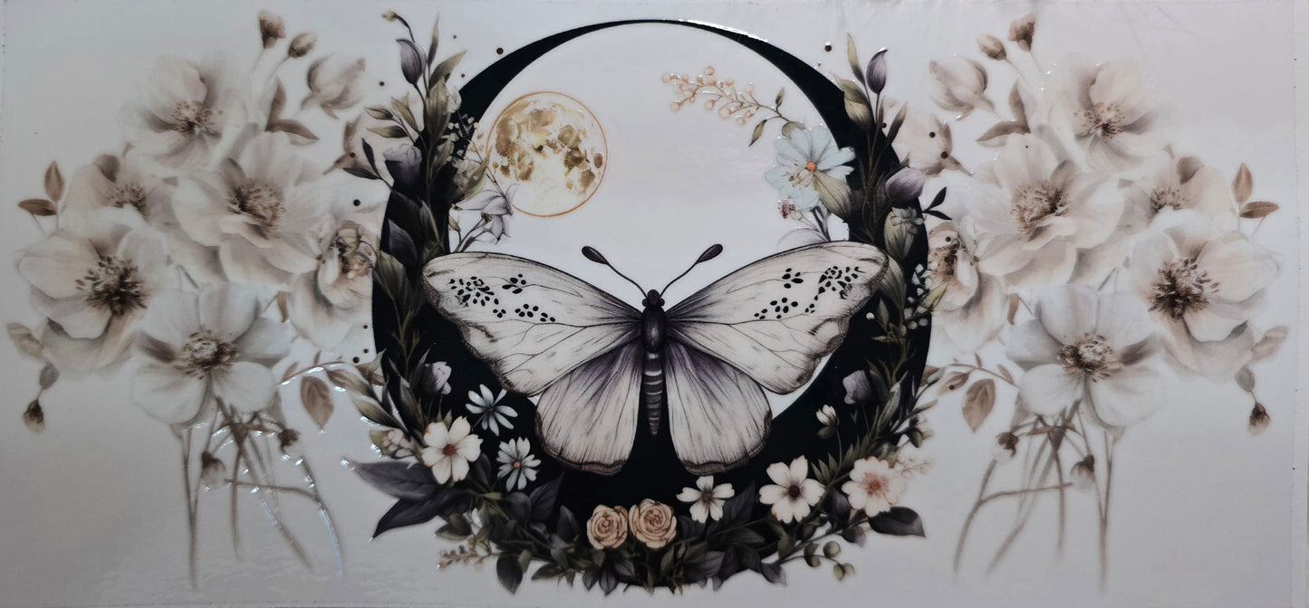 Butterfly 1