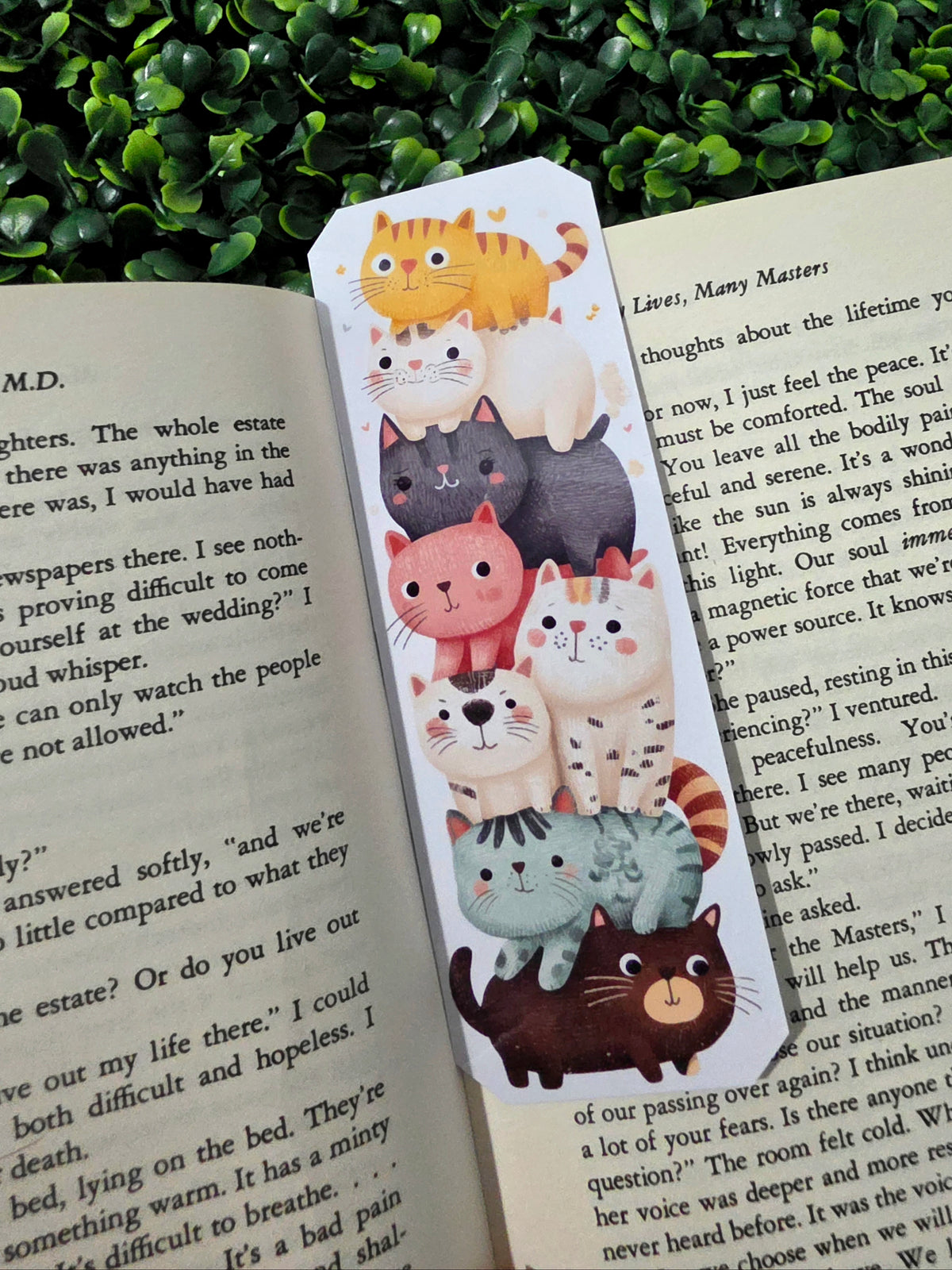 Cat Stack Bookmarks
