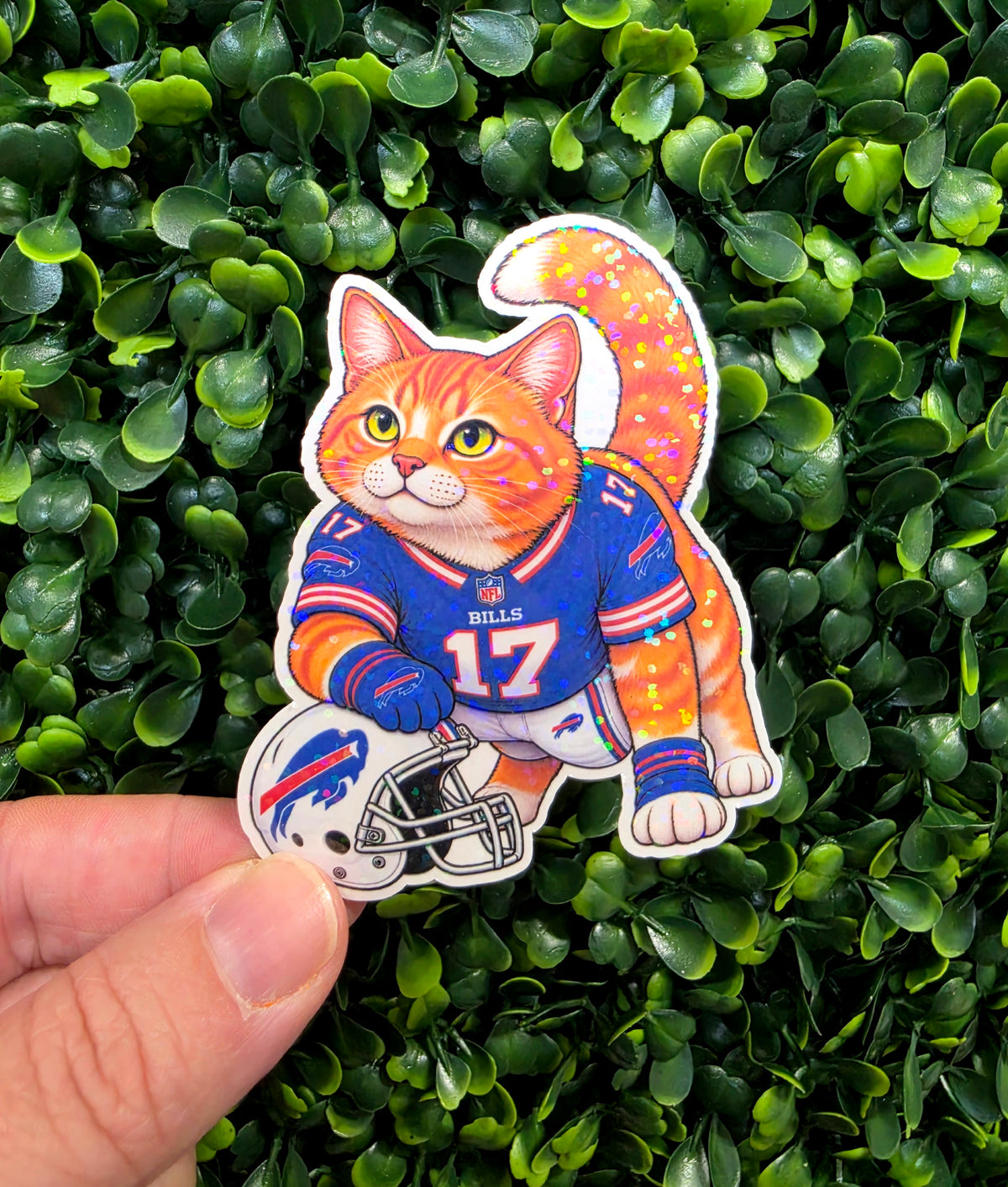 Bills Mafia Cats