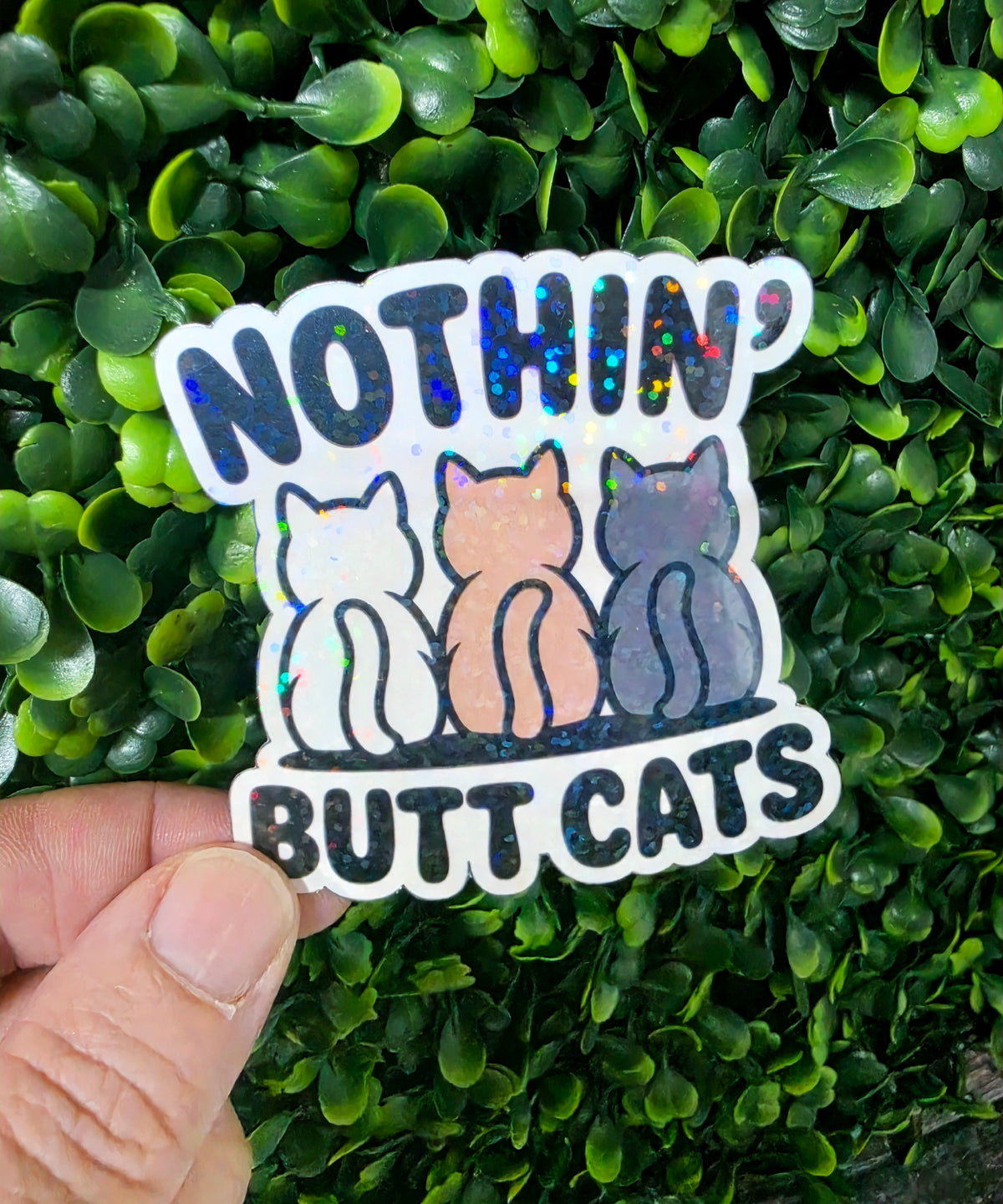 Cat Lover Mystery Sticker Pack 🐱