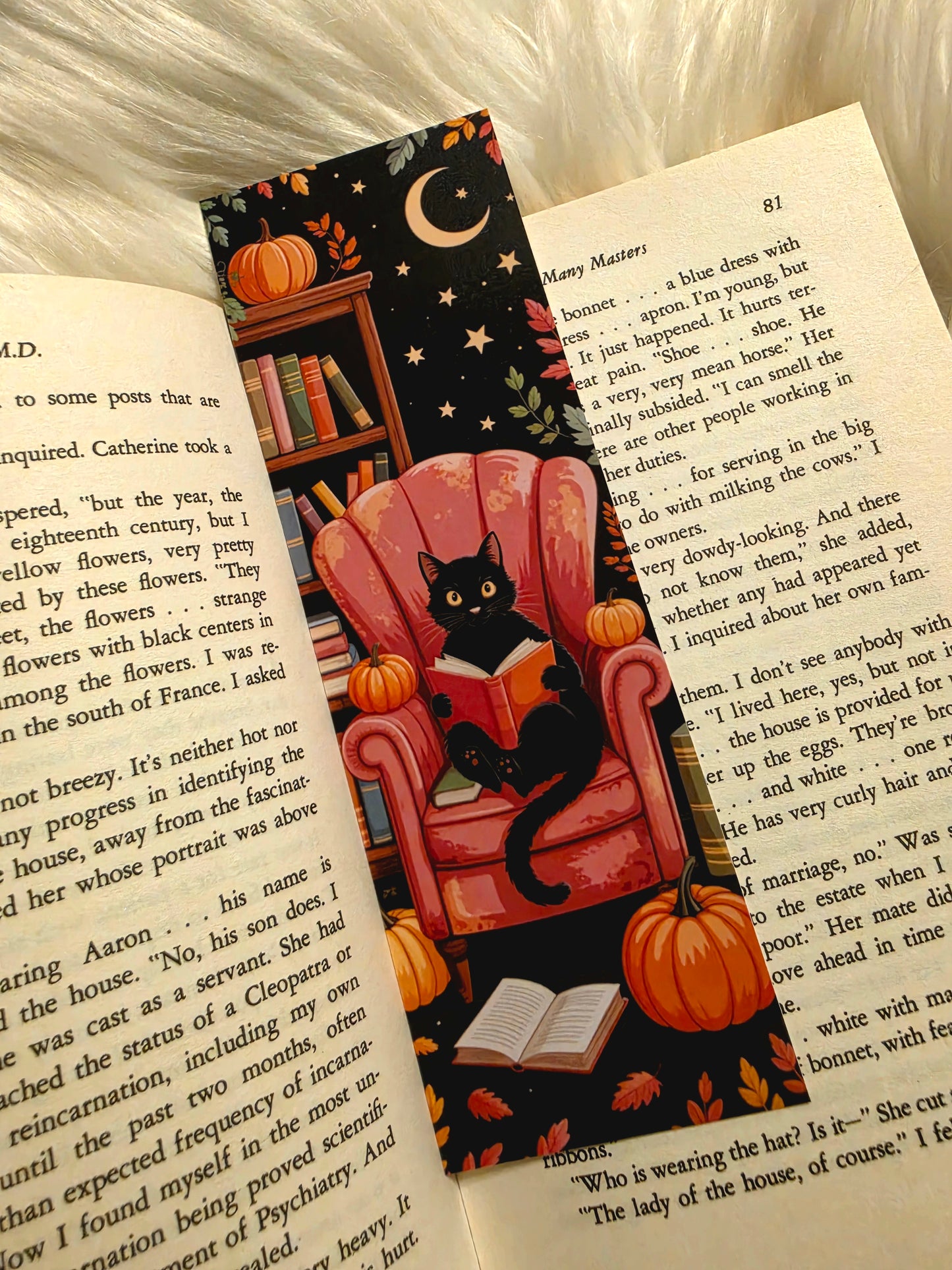 Midnight Autumn Reader