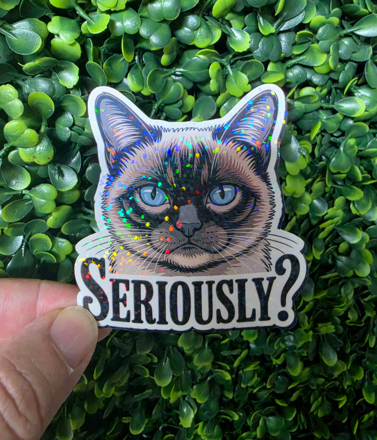 Cat Lover Mystery Sticker Pack 🐱