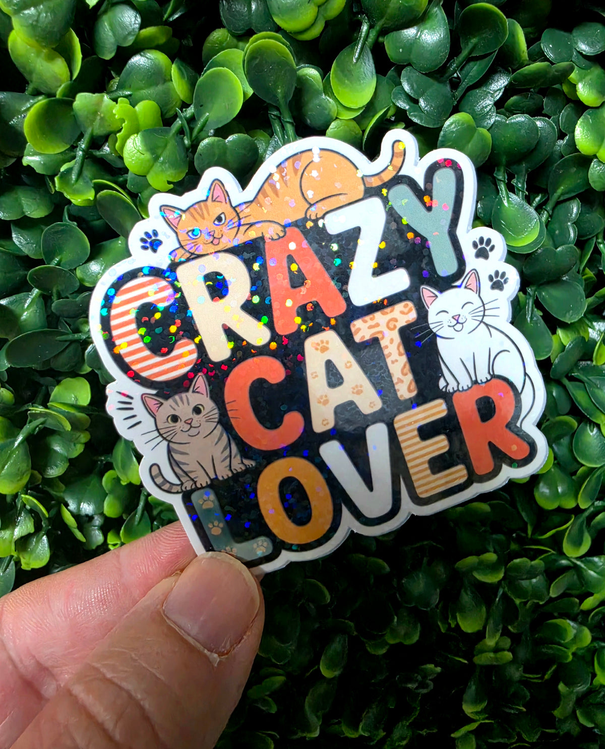 Cat Lover Mystery Sticker Pack 🐱