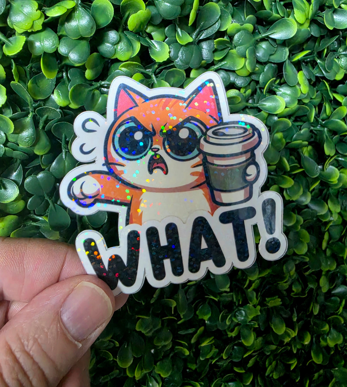 Cat Lover Mystery Sticker Pack 🐱