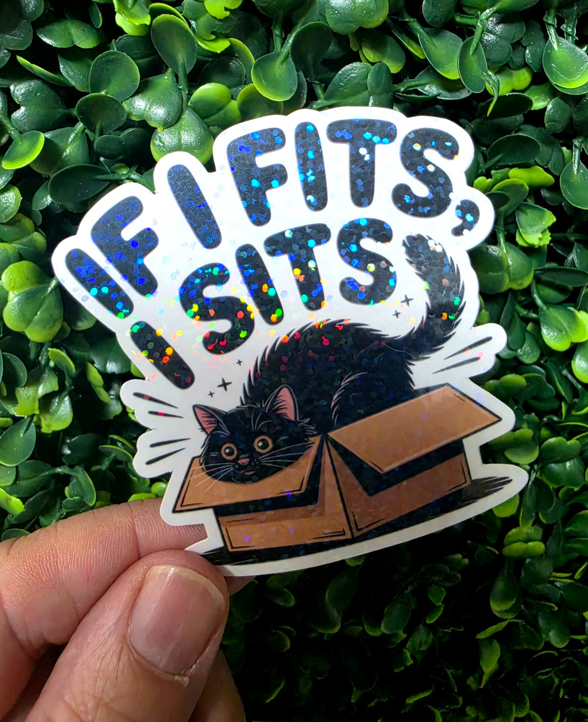 Cat Lover Mystery Sticker Pack 🐱