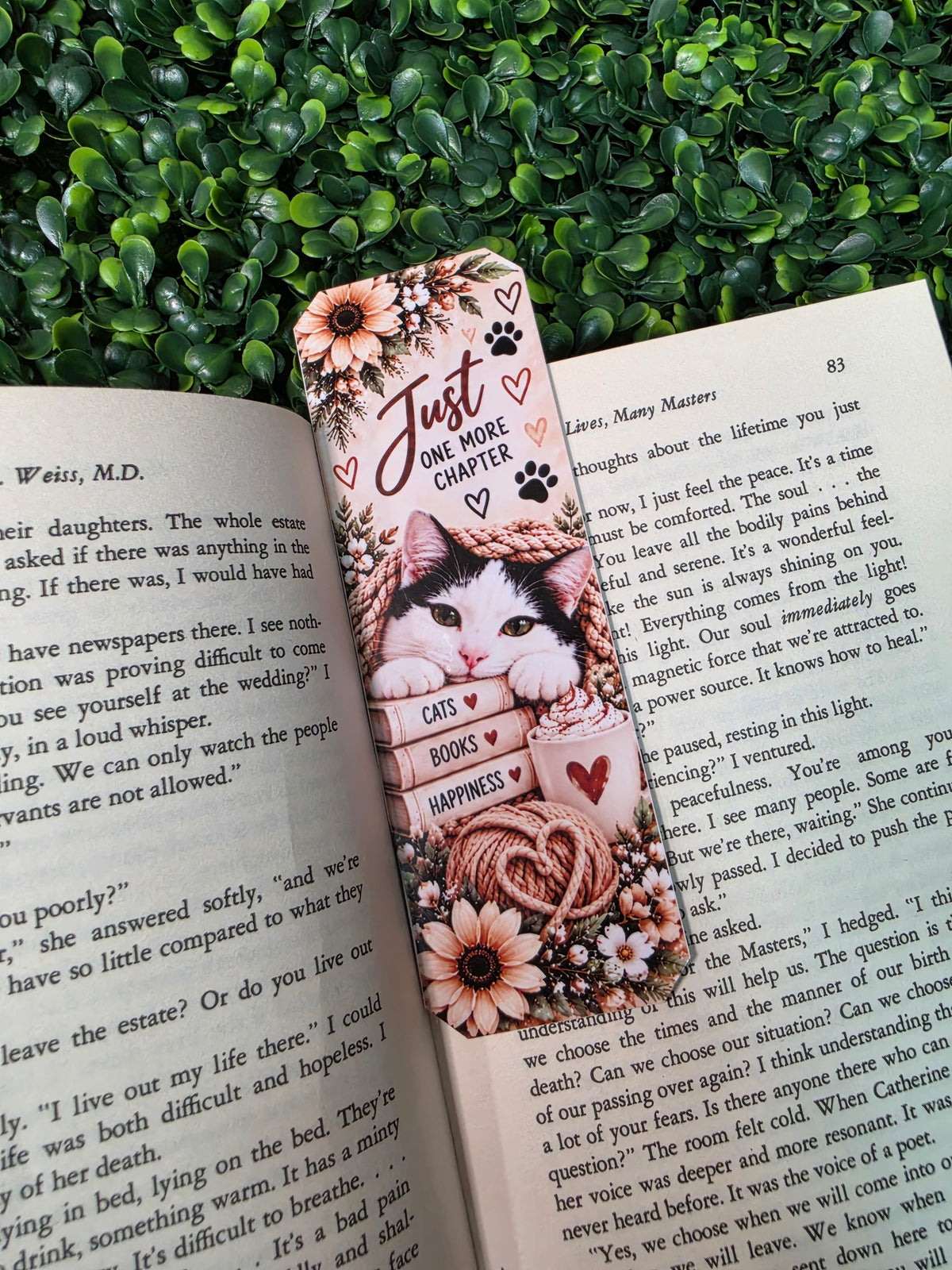 Christmas The Cat Bookmarks