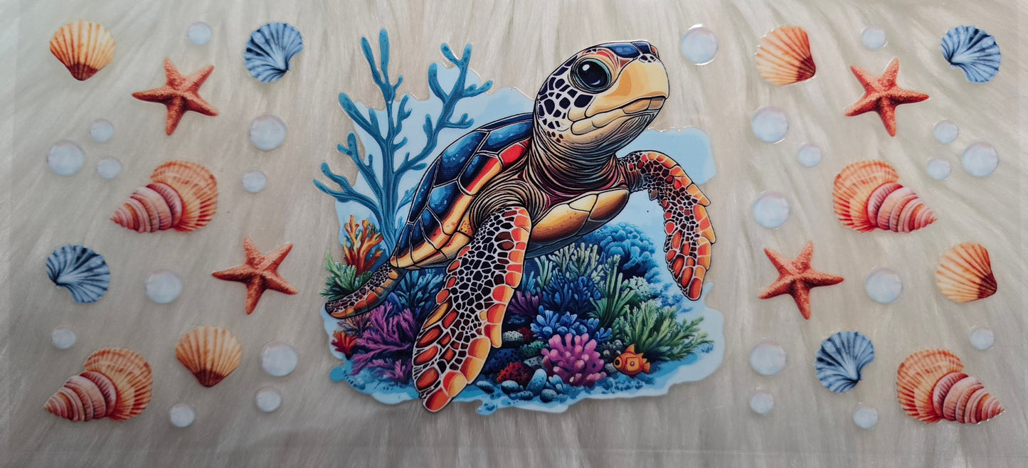 Turtle Shells