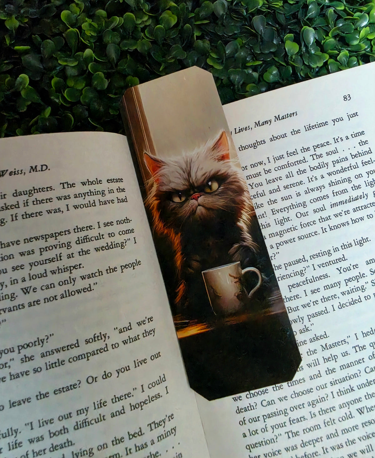 Grumpy Cat Bookmarks
