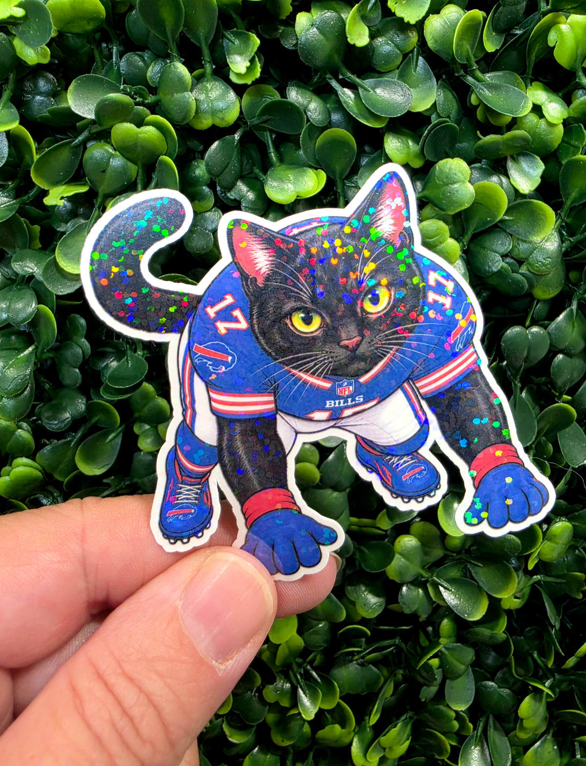 Bills Mafia Cats