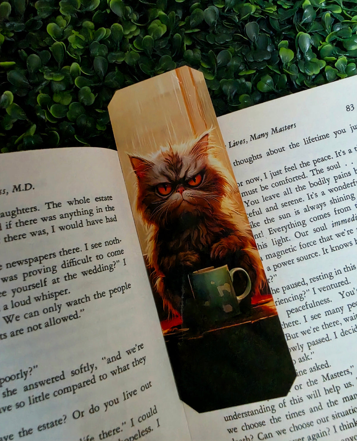 Grumpy Cat Bookmarks
