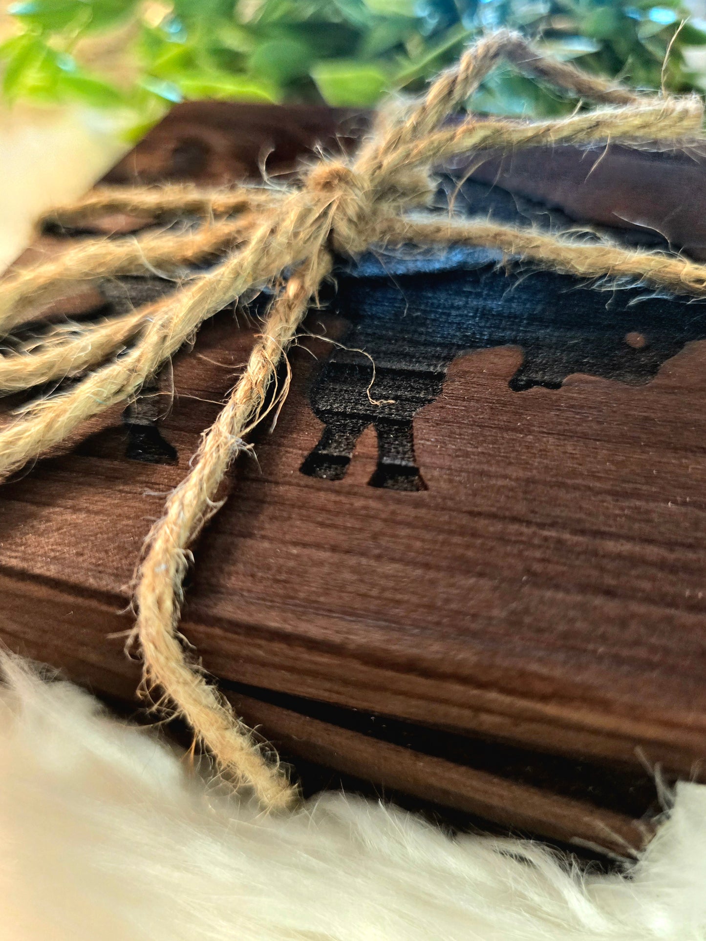 Buffalo engraved coaster set