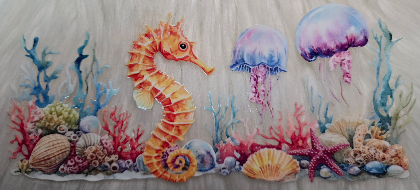 Seahorse and Jellys
