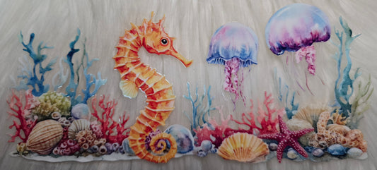 Seahorse and Jellys