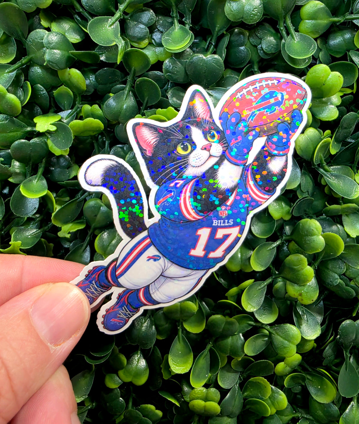 Bills Mafia Cats