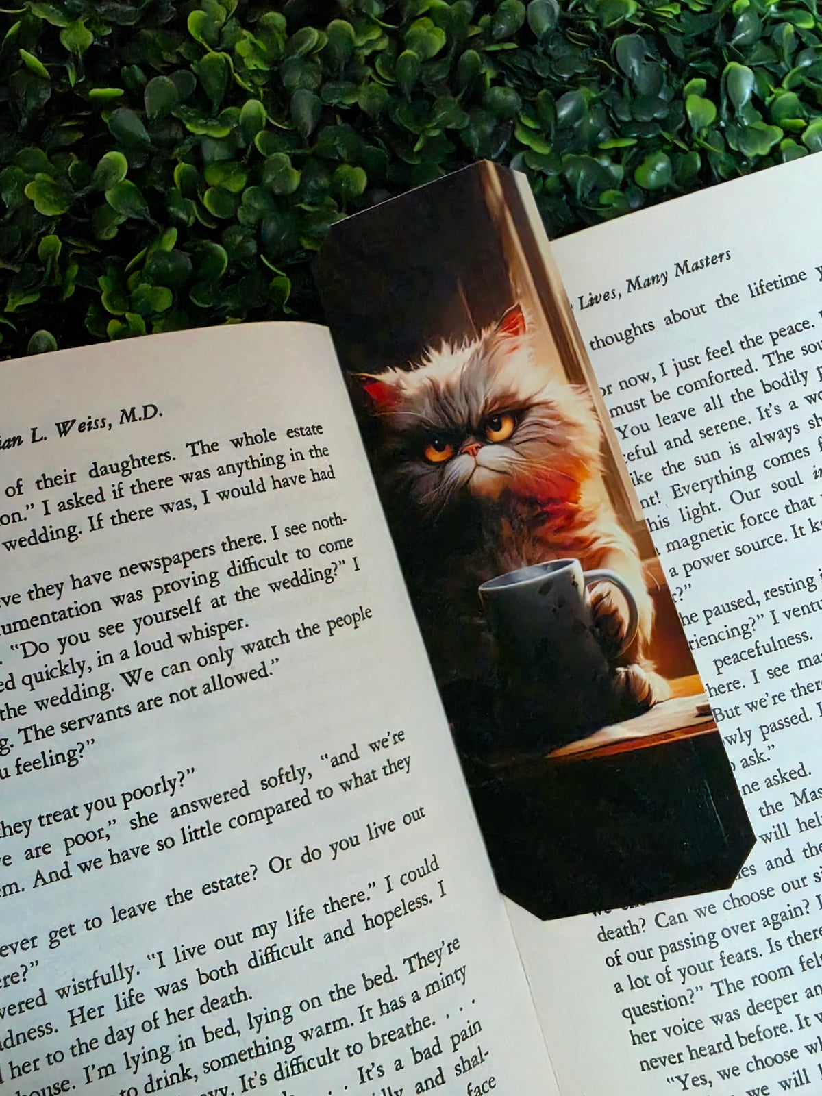 Grumpy Cat Bookmarks