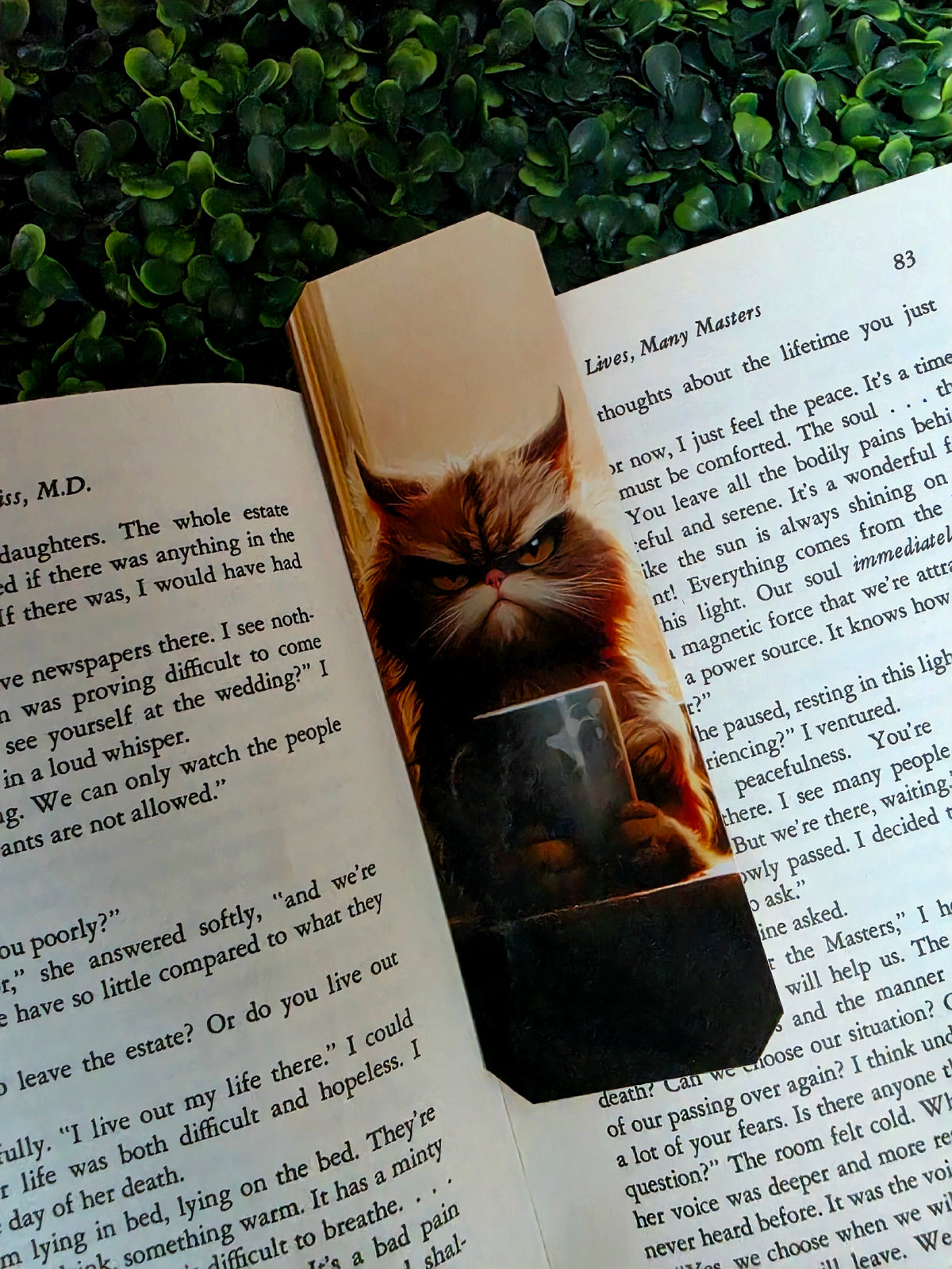Grumpy Cat Bookmarks