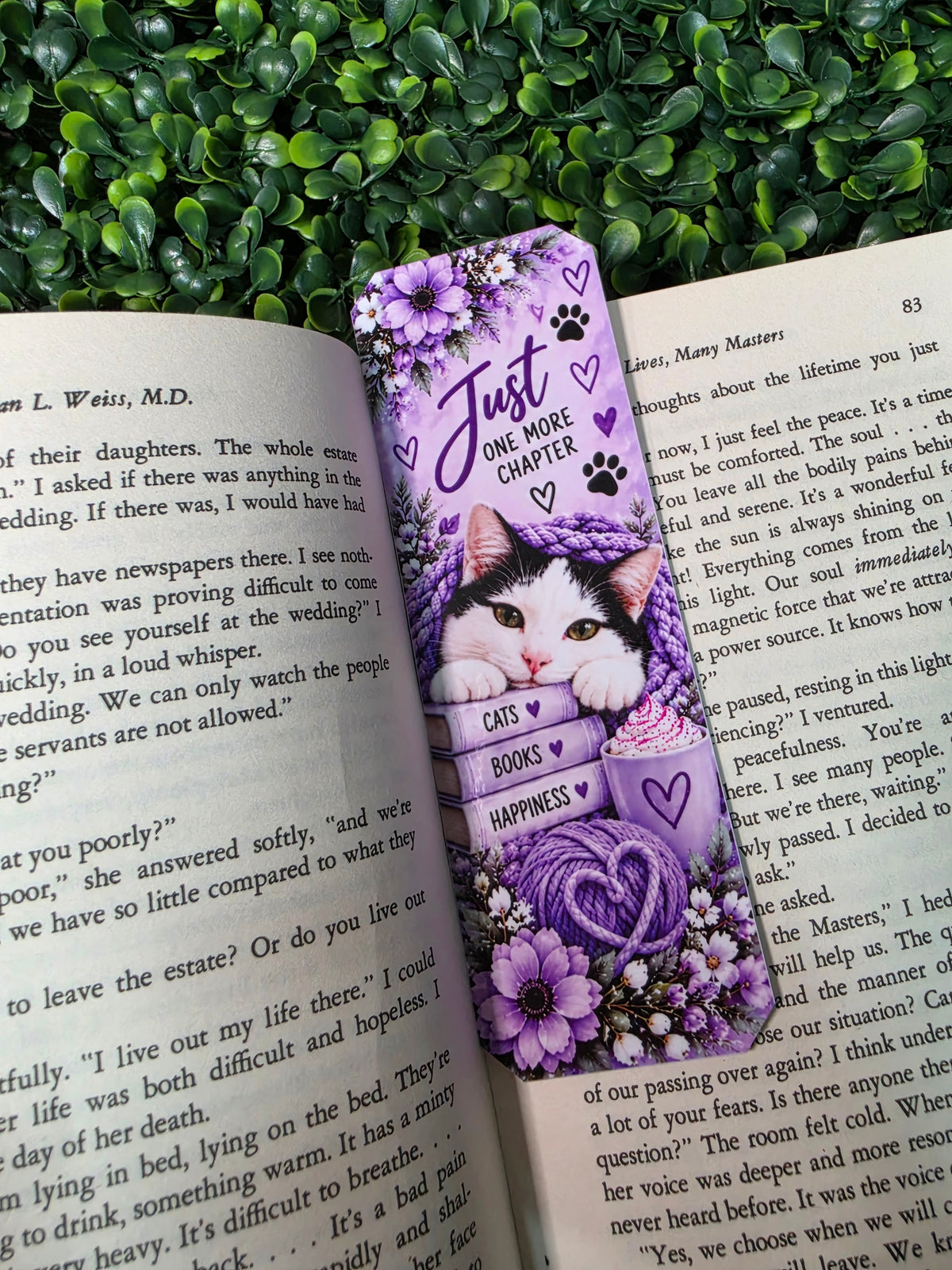 Christmas The Cat Bookmarks