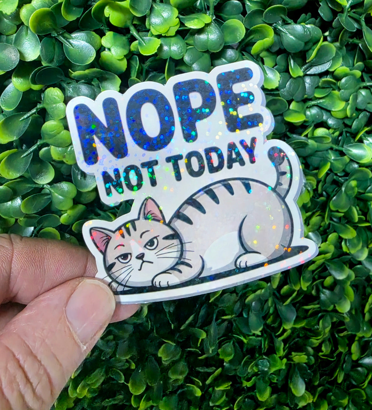 Cat Lover Mystery Sticker Pack 🐱